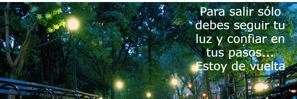 manuelherque's profile banner image