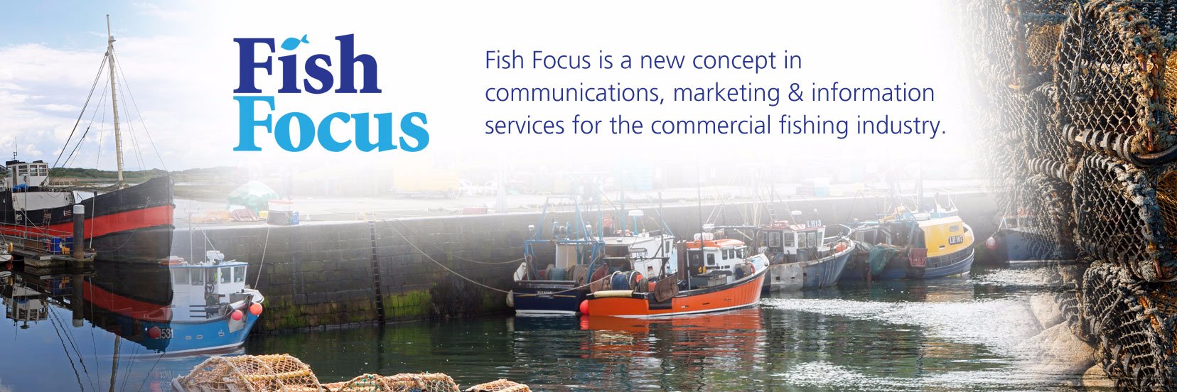 Fish Focus banner