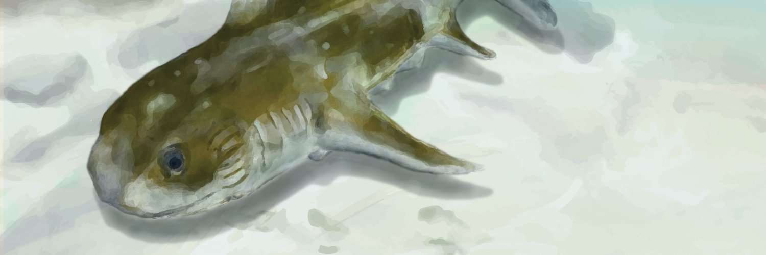 Plamsome's profile banner image