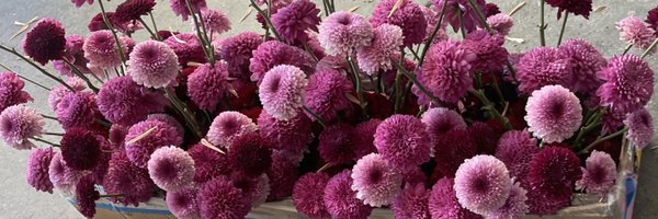 HasaniLLC Profile Banner