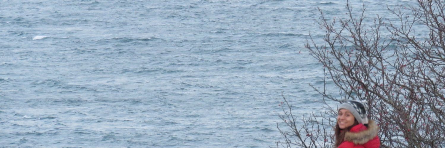 Daniela_viento's profile banner image