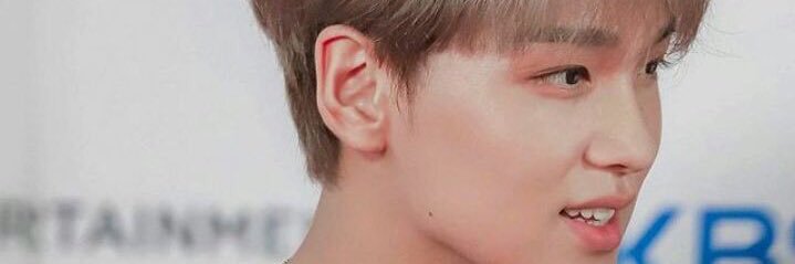 HelianthusLinus's profile banner image