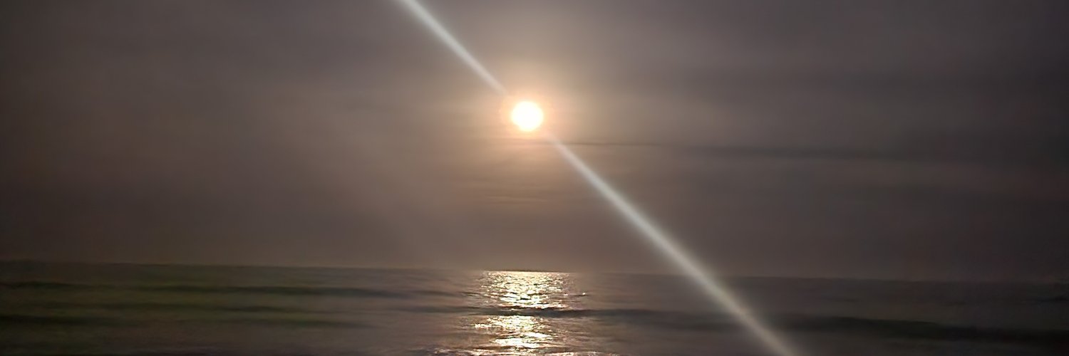 Reshii banner