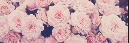 UmKealey_'s profile banner image