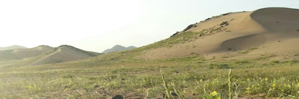 wail_5111's profile banner image