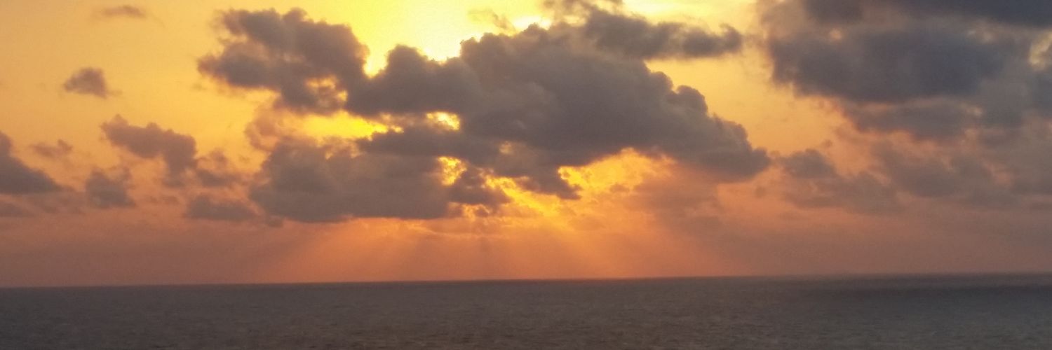 𝗥𝗶𝗰𝗵𝗮𝗿𝗱 𝗗 𝗕𝗮𝗿𝘁𝗹𝗲𝘁𝘁 banner