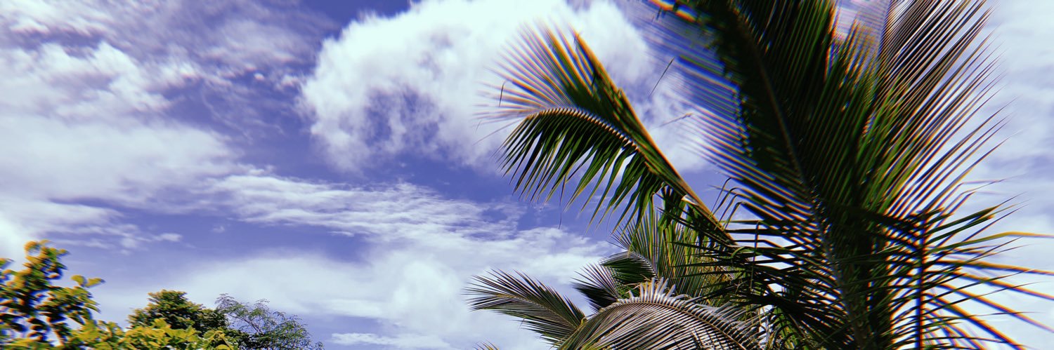 aa1ff6's profile banner image