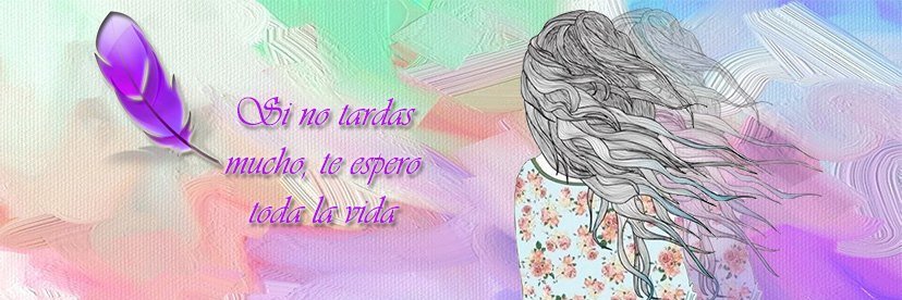 vgp_escritora's profile banner image