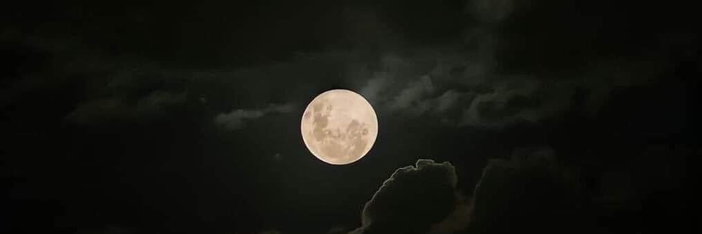 ☆ larissa 𖦏 AMES DAY!! ☆ banner