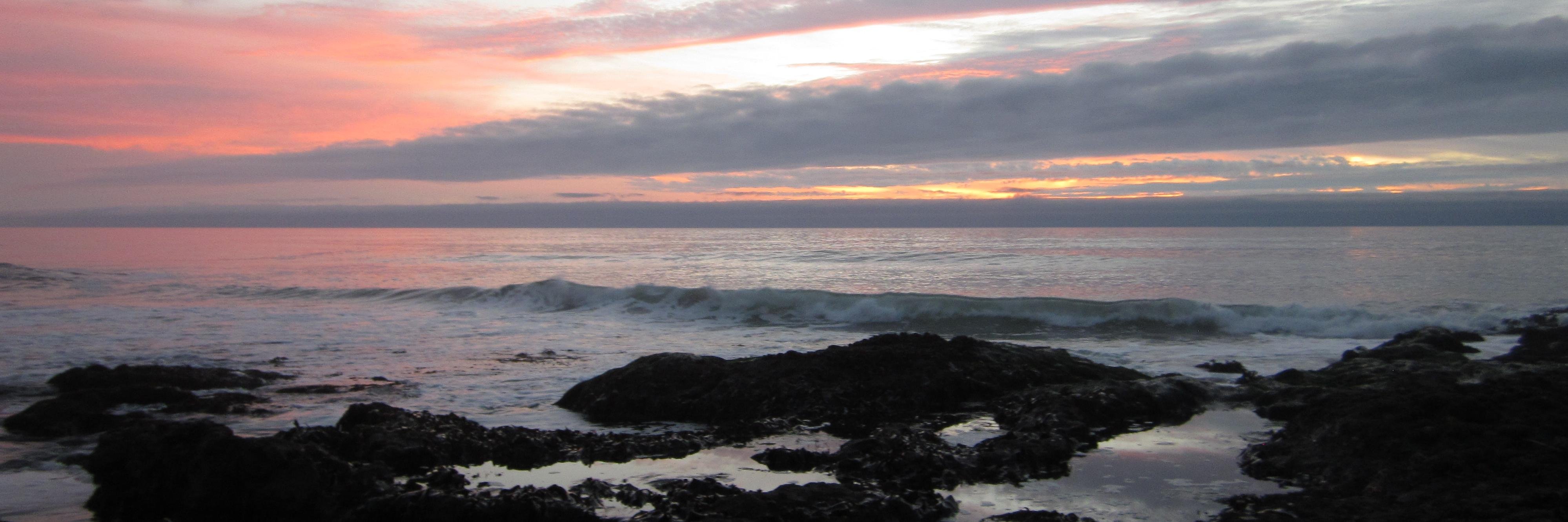 Liz Cerny-Chipman banner