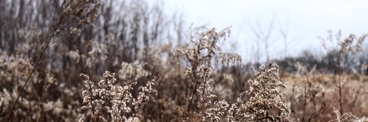 abbyspornitz's profile banner image