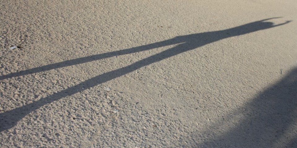 Ailynne Sobec banner