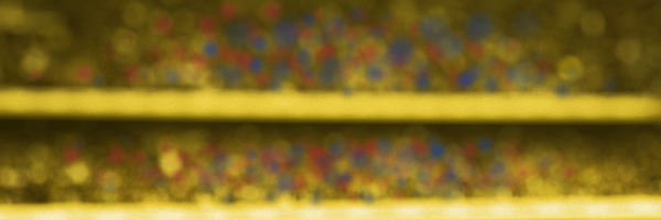misoca Profile Banner