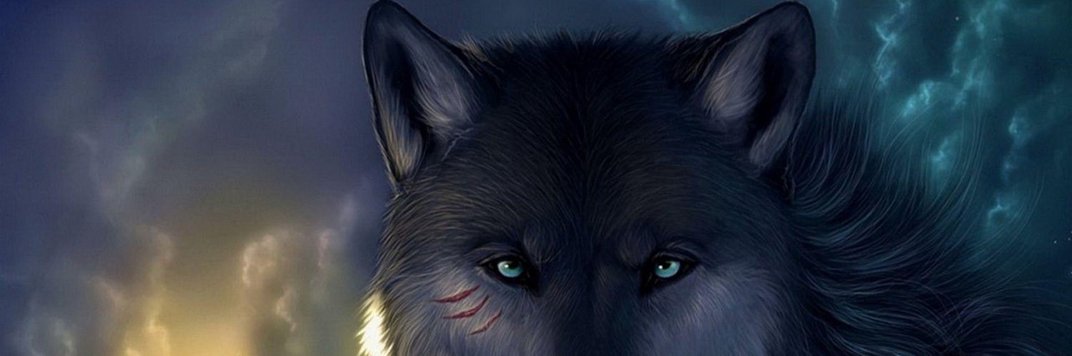 قوم پرست پنجابی banner