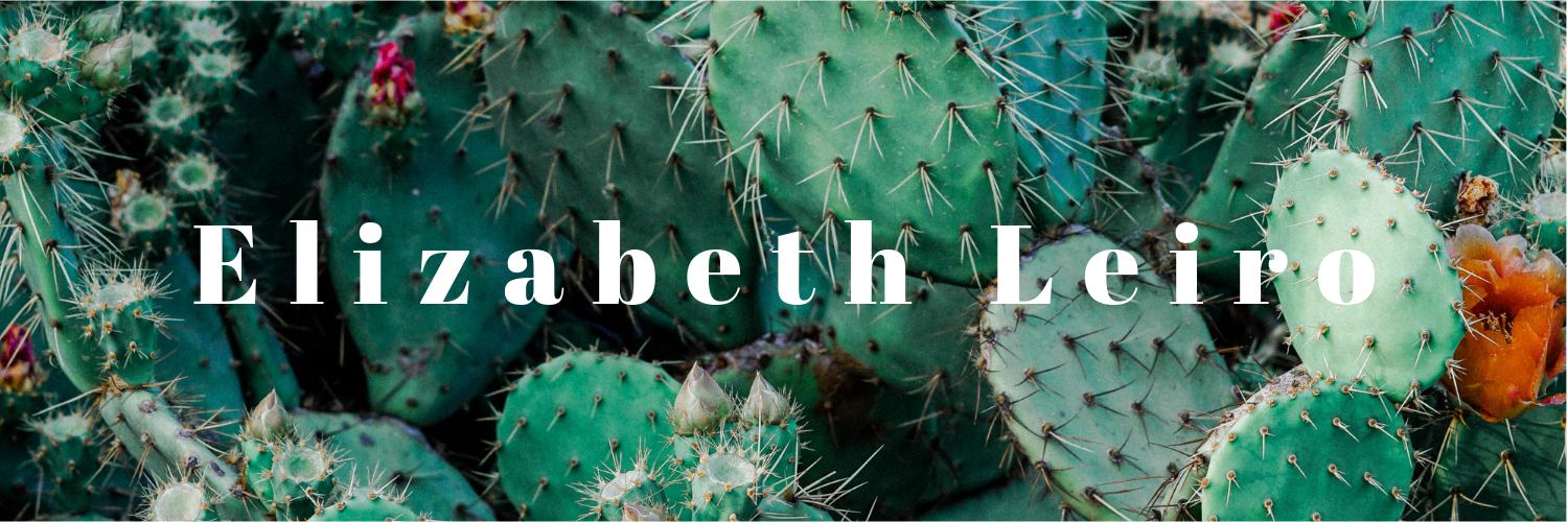 elizabethleiro's profile banner image