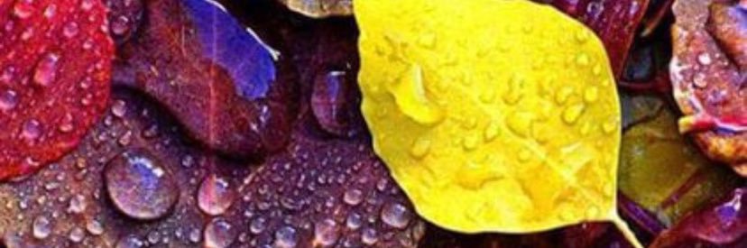 DaveMarz65's profile banner image