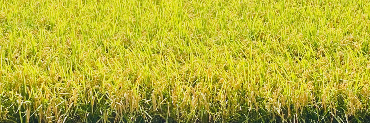 awoiweb's profile banner image