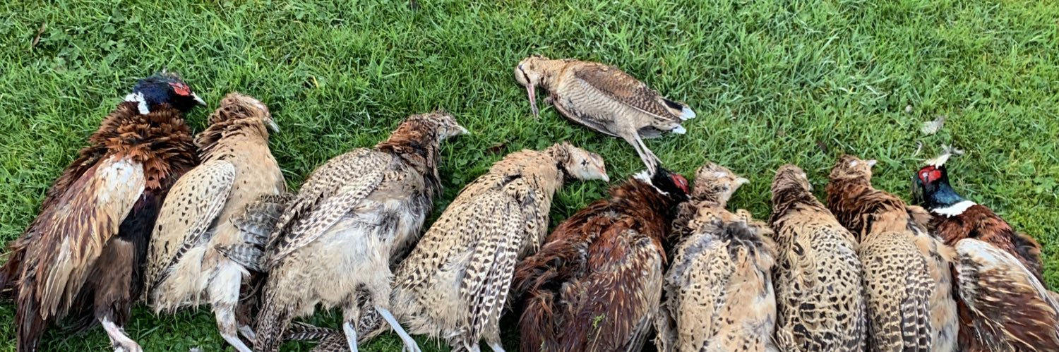 RackyGunClub's profile banner image