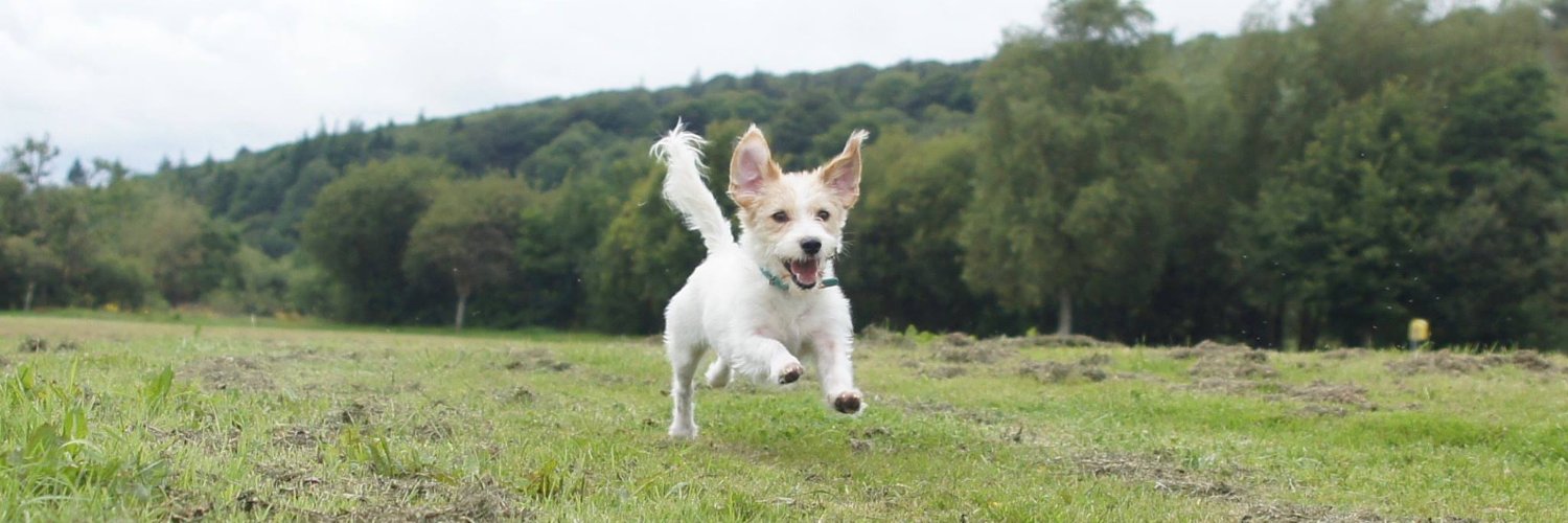 Evan Prendergast banner