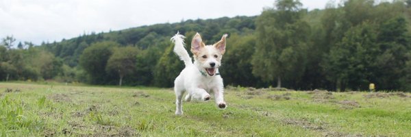 EvanInka Profile Banner