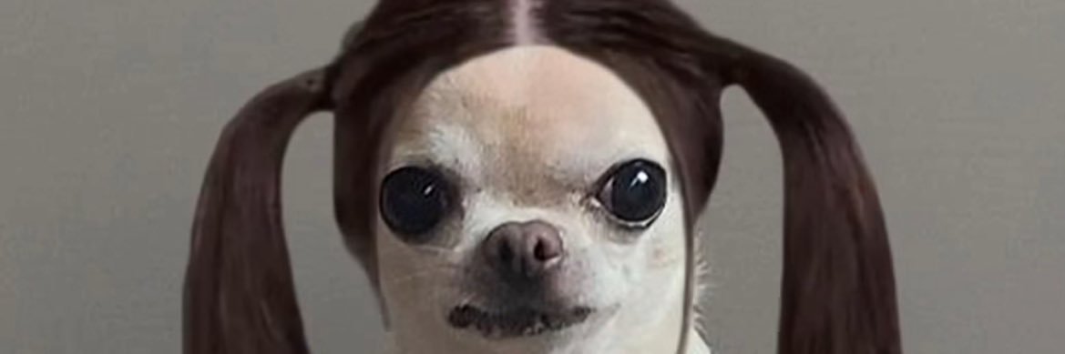 Volinn_'s profile banner image