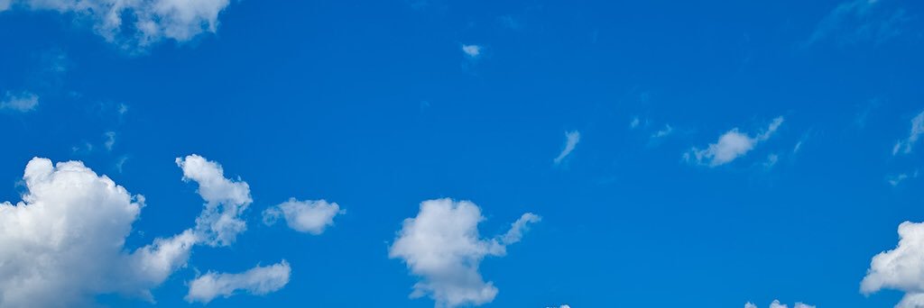 m_dogtraining's profile banner image