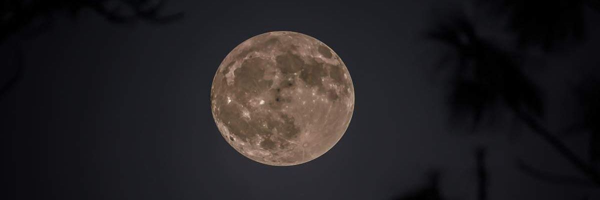 RWhiteley1's profile banner image