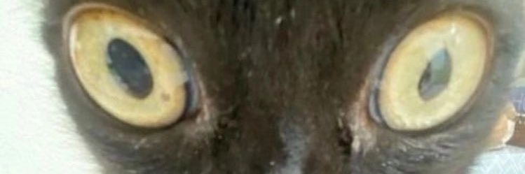 Grrr_io's profile banner image