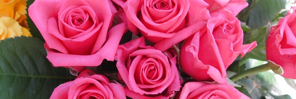 aunty_htay's profile banner image
