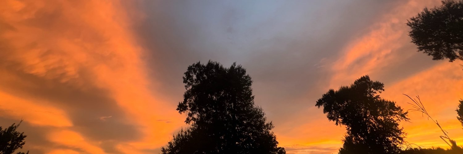 EmpireMP911's profile banner image