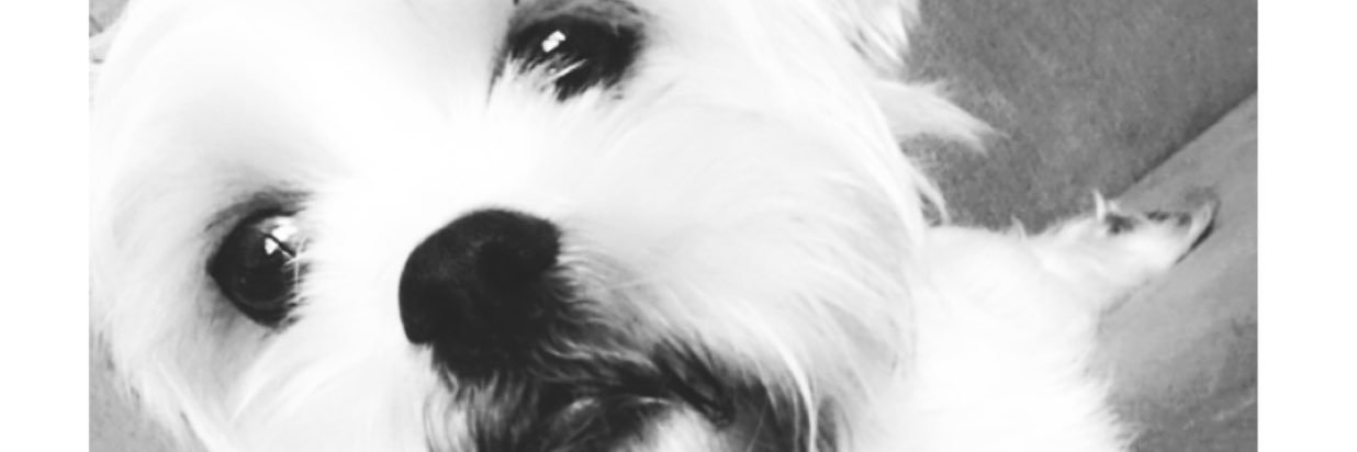 cheekyface77's profile banner image