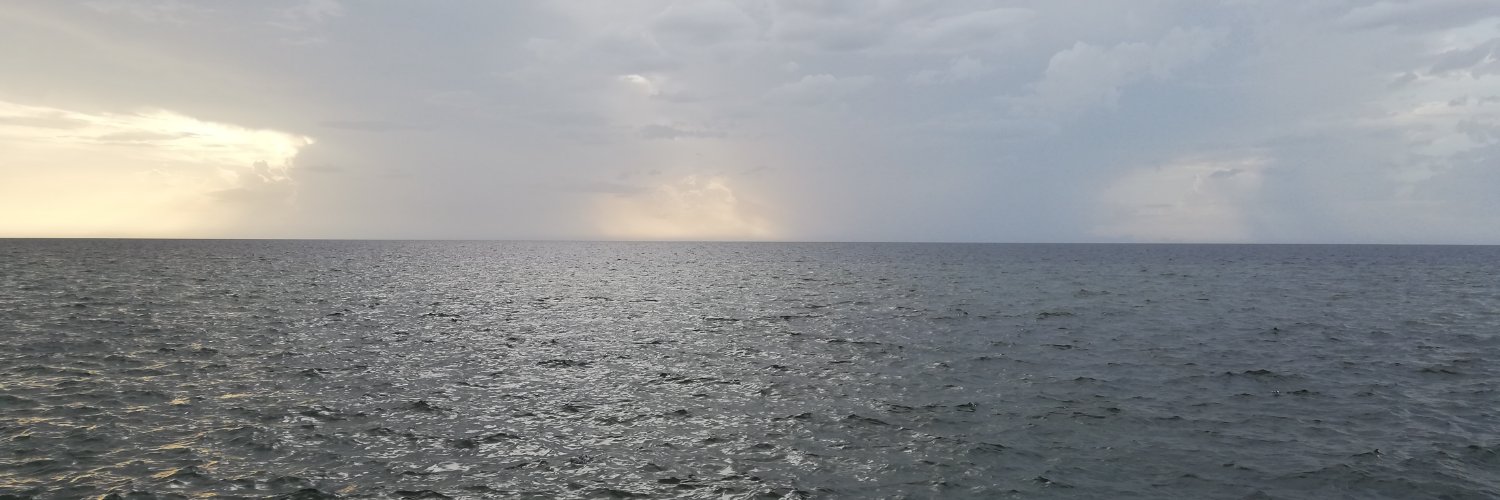 aramnava's profile banner image