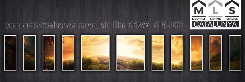MLSCatalunya's profile banner image