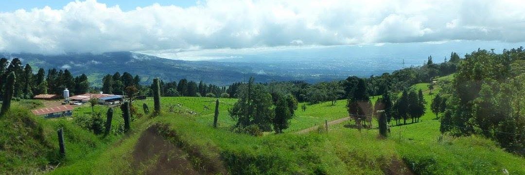 landasmoo's profile banner image