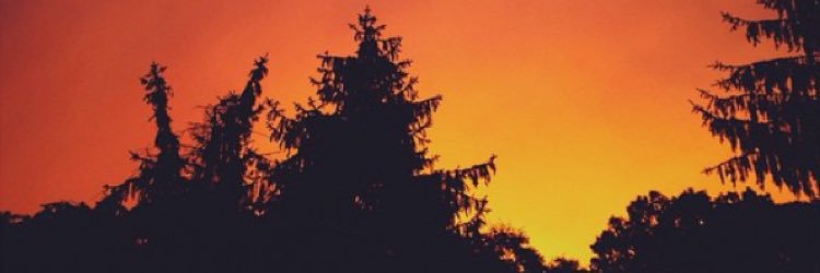 litwithrahul's profile banner image