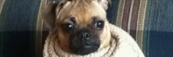 RowingHills's profile banner image