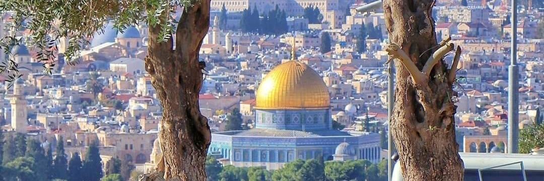 Desi 🇮🇩 🇵🇸 banner