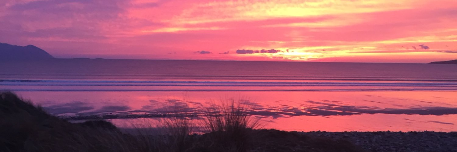 donnanelan's profile banner image