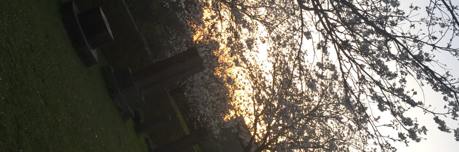 yuton033's profile banner image