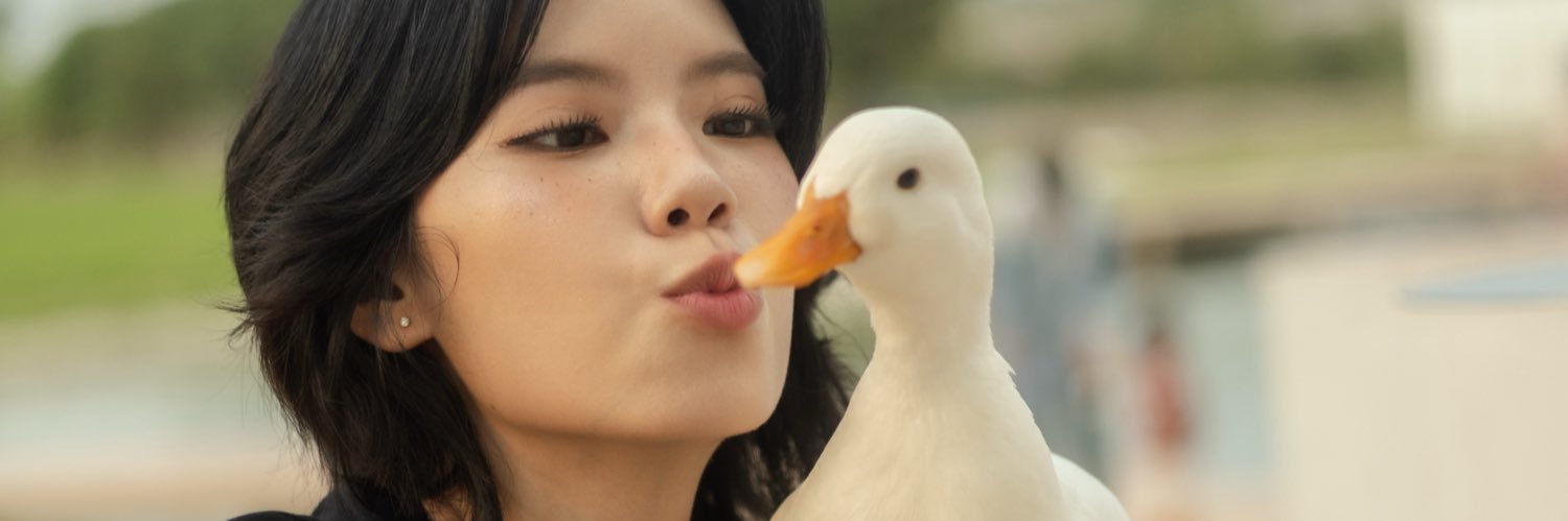 เฟย์แม่เป็ด banner