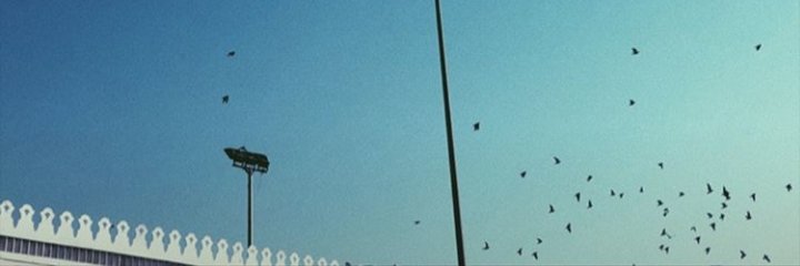 Amararaaaa's profile banner image