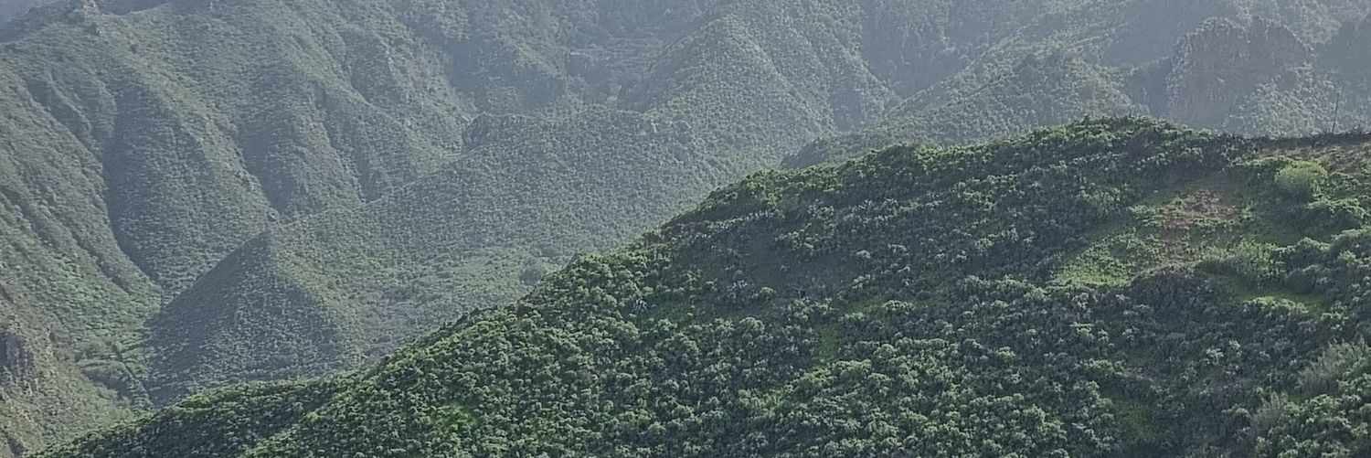Estefanía Díaz Arias banner