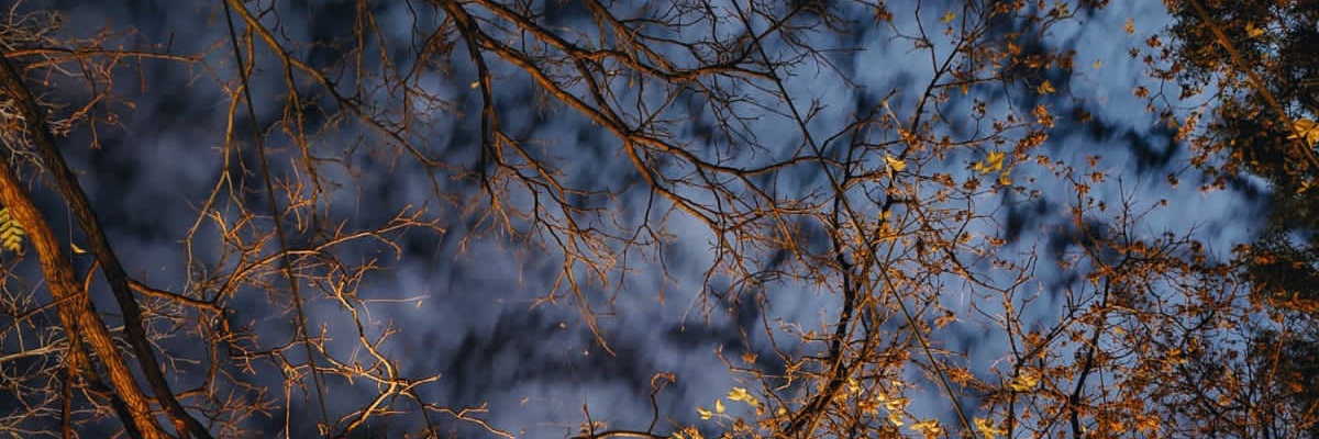 wojinald's profile banner image
