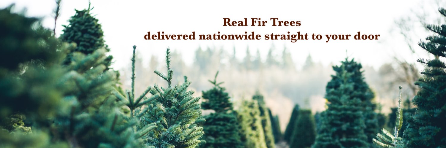 xmasforest's profile banner image