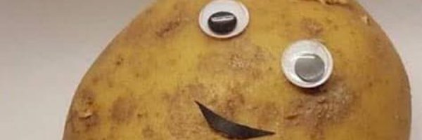 sygfyuuu Profile Banner