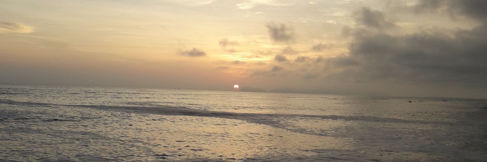 cricarco's profile banner image