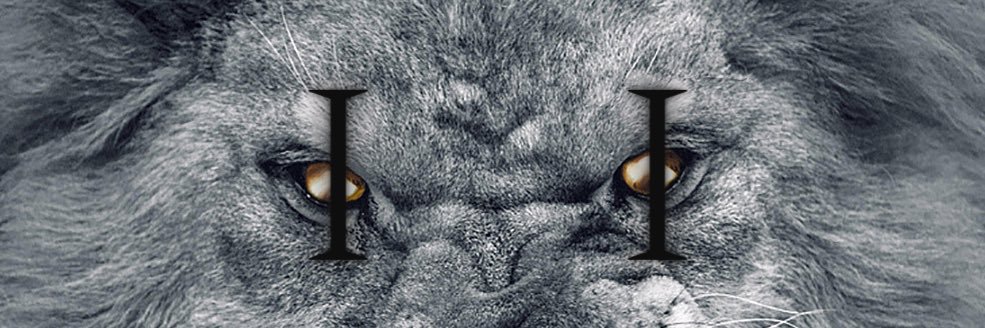 Kenneth Farrow II banner