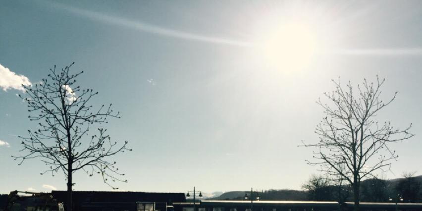 PeterStrutz's profile banner image
