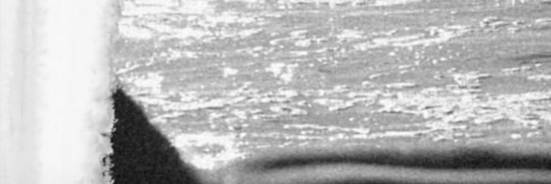 carmen_dbm's profile banner image