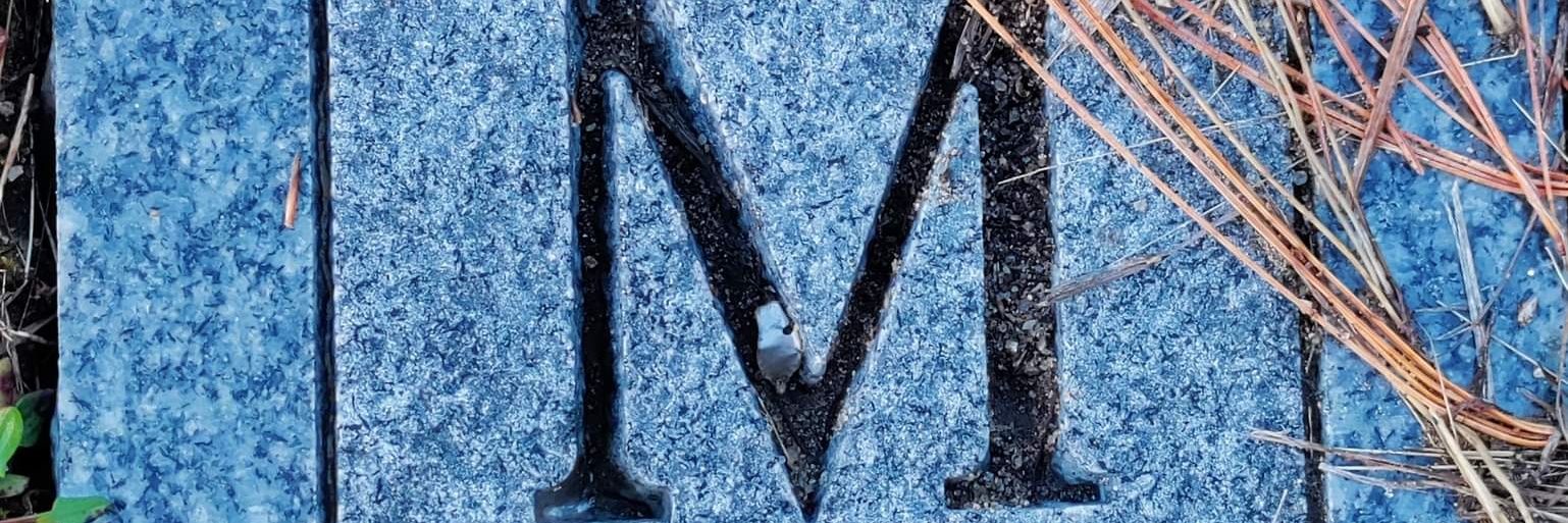 MENT0L's profile banner image